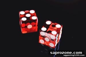 AG真人 saprozone